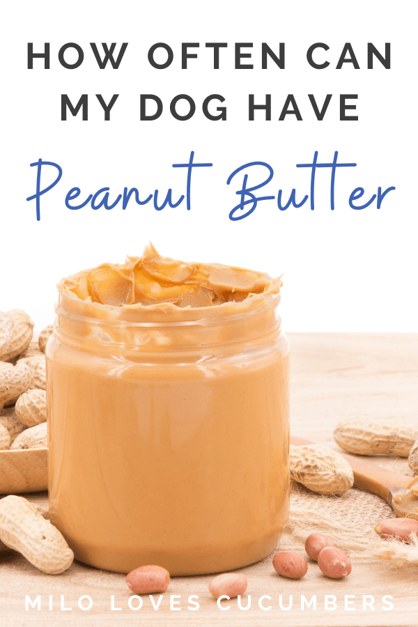 How Often Can My Dog Have Peanut Butter? - Dog Nutrition - Dog Treats - peanut butter dog treats - Dog Health - milolovescucumbers.com