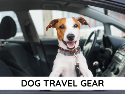 DOG Travel Gear - Milo Loves Cucumbers