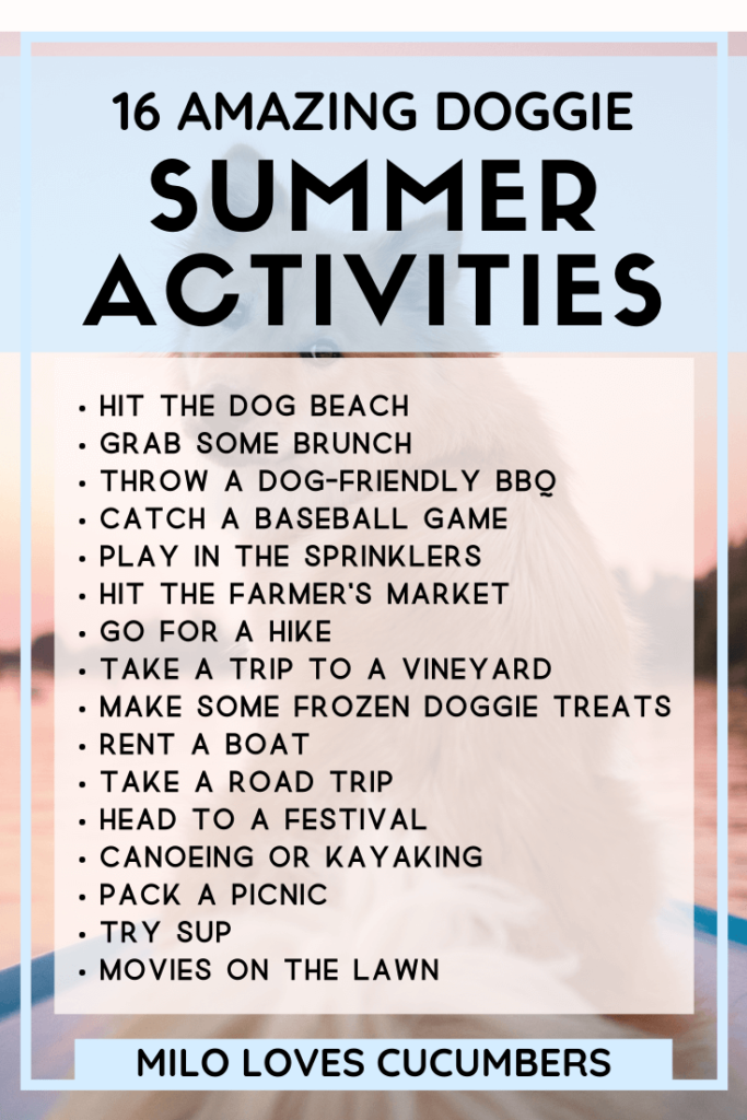 Dog Lifestyle - Summer Activities for Dogs - 16 Ultimate Summer Activities for Dogs (2)