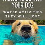 Things to do with your dog - 11 exciting water activities for dogs - Dog Summer Activities - Dog Backyard Ideas - Milo Loves Cucumbers