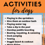 Things to do with your dog - 11 exciting water activities for dogs - Dog Summer Activities - Dog Backyard Ideas - Milo Loves Cucumbers