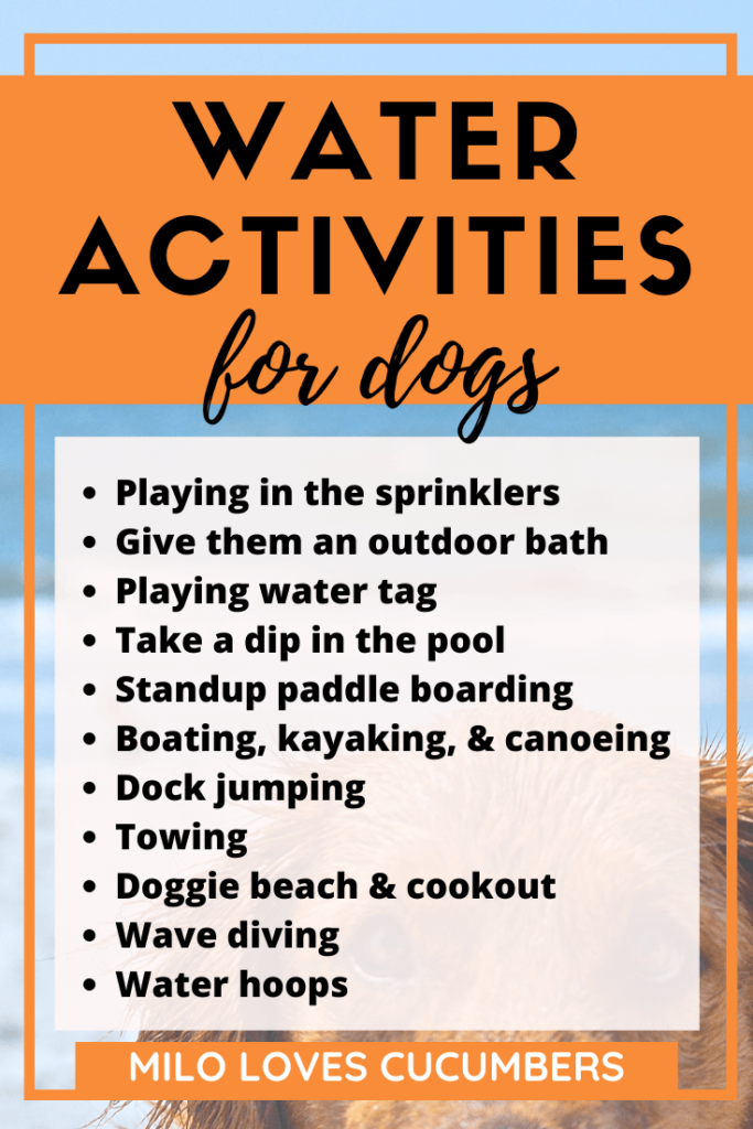Things to do with your dog - 11 exciting water activities for dogs - Dog Summer Activities - Dog Backyard Ideas - Milo Loves Cucumbers