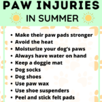 Dog Injury - 11 Ways to Protect Your Dog's Paws in Summer - Dog Wellness and Dog Sickness - Milo Loves Cucumbers