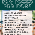 What foods can dogs eat - Dog nutrition - summer BBQ foods for dogs - Safe dog bbq - dog friendly BBQ - Milo Loves Cucumbers