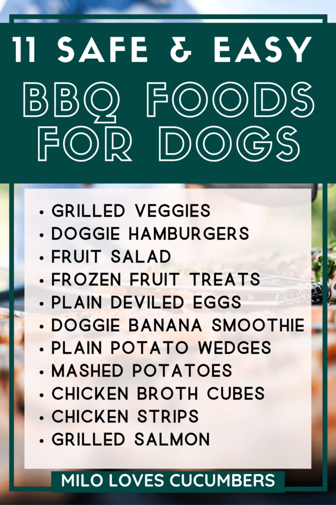 What foods can dogs eat - Dog nutrition - summer BBQ foods for dogs - Safe dog bbq - dog friendly BBQ - Milo Loves Cucumbers