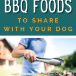 What foods can dogs eat - Dog nutrition - summer BBQ foods for dogs - Safe dog bbq - dog friendly BBQ - Milo Loves Cucumbers