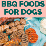 What foods can dogs eat - Dog nutrition - summer BBQ foods for dogs - Safe dog bbq - dog friendly BBQ - Milo Loves Cucumbers