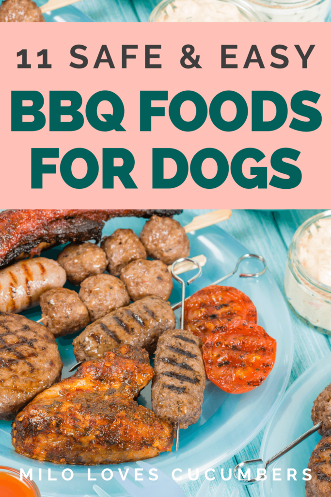 What foods can dogs eat - Dog nutrition - summer BBQ foods for dogs - Safe dog bbq - dog friendly BBQ - Milo Loves Cucumbers 