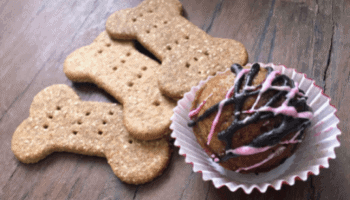 12 Dog Treat Alternatives Your Dog Will Love - Homemade Dog Treats - Safe Foods for Dogs - Milo Loves Cucumbers