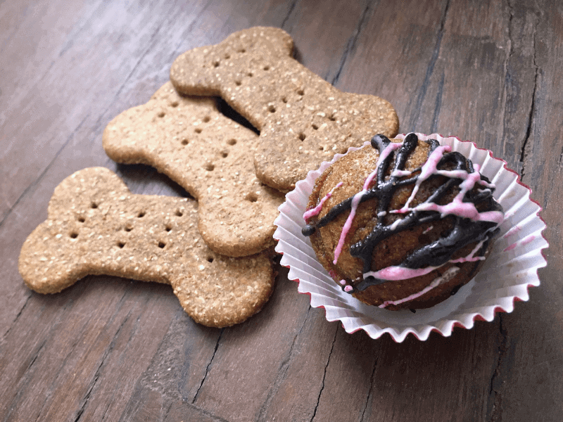 12 Dog Treat Alternatives Your Dog Will Love - Homemade Dog Treats - Safe Foods for Dogs - Milo Loves Cucumbers