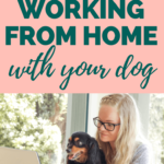 Ways to Make Working From Home With Your Dog Easier - Milo Loves Cucumbers