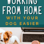 Ways to Make Working From Home With Your Dog Easier - Milo Loves Cucumbers